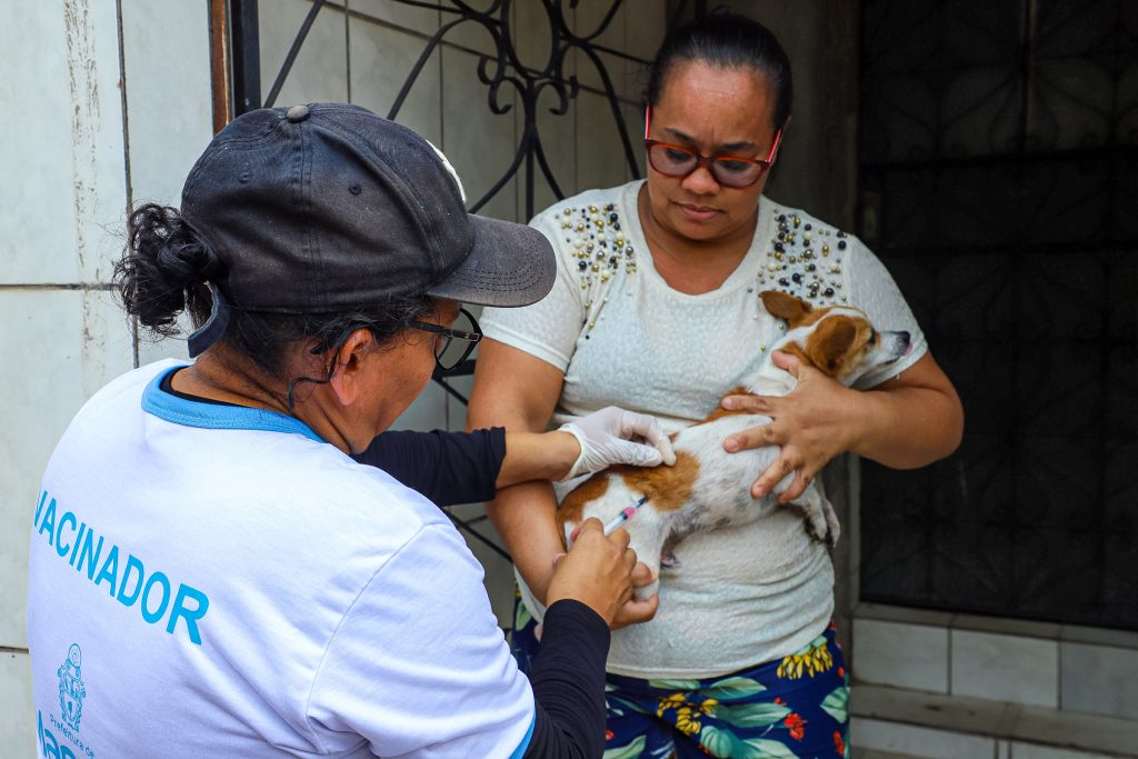 Prefeitura de Manaus convoca 30 aprovados para a Campanha de Vacinação Antirrábica Animal de 2026