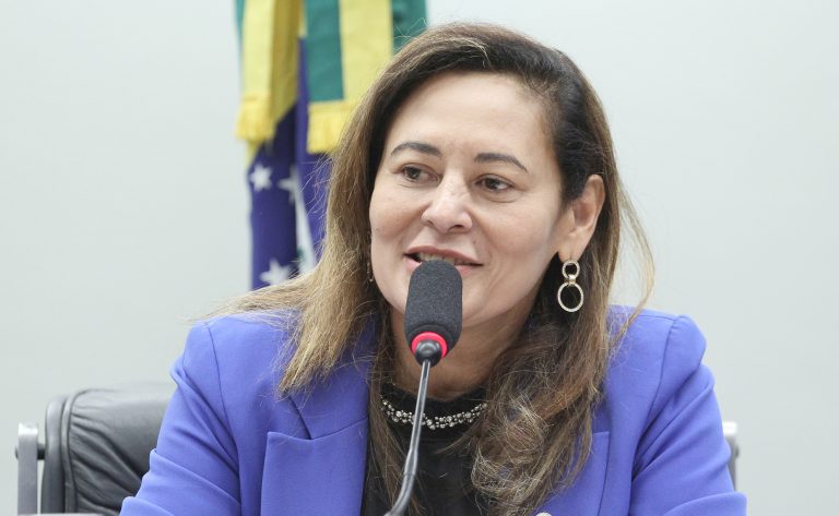 Comissão da Câmara aprova priorização de recursos do FNMC para a Amazônia Legal sem prejudicar outras regiões