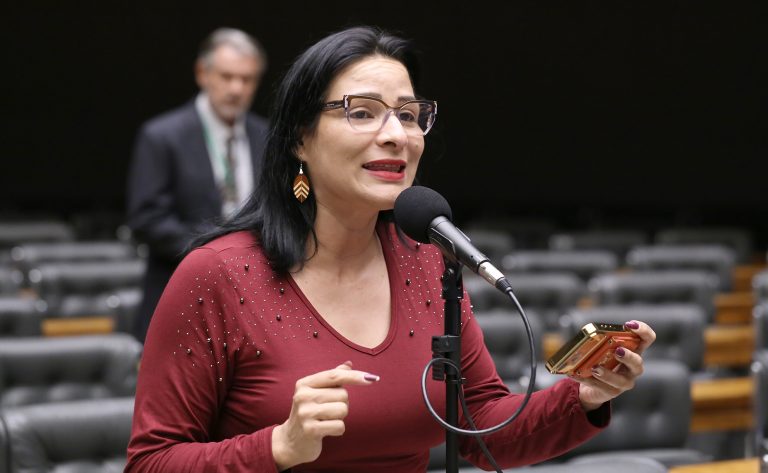 Câmara aprova projeto que garante o uso de elementos de identidade cultural em espaços públicos e privados